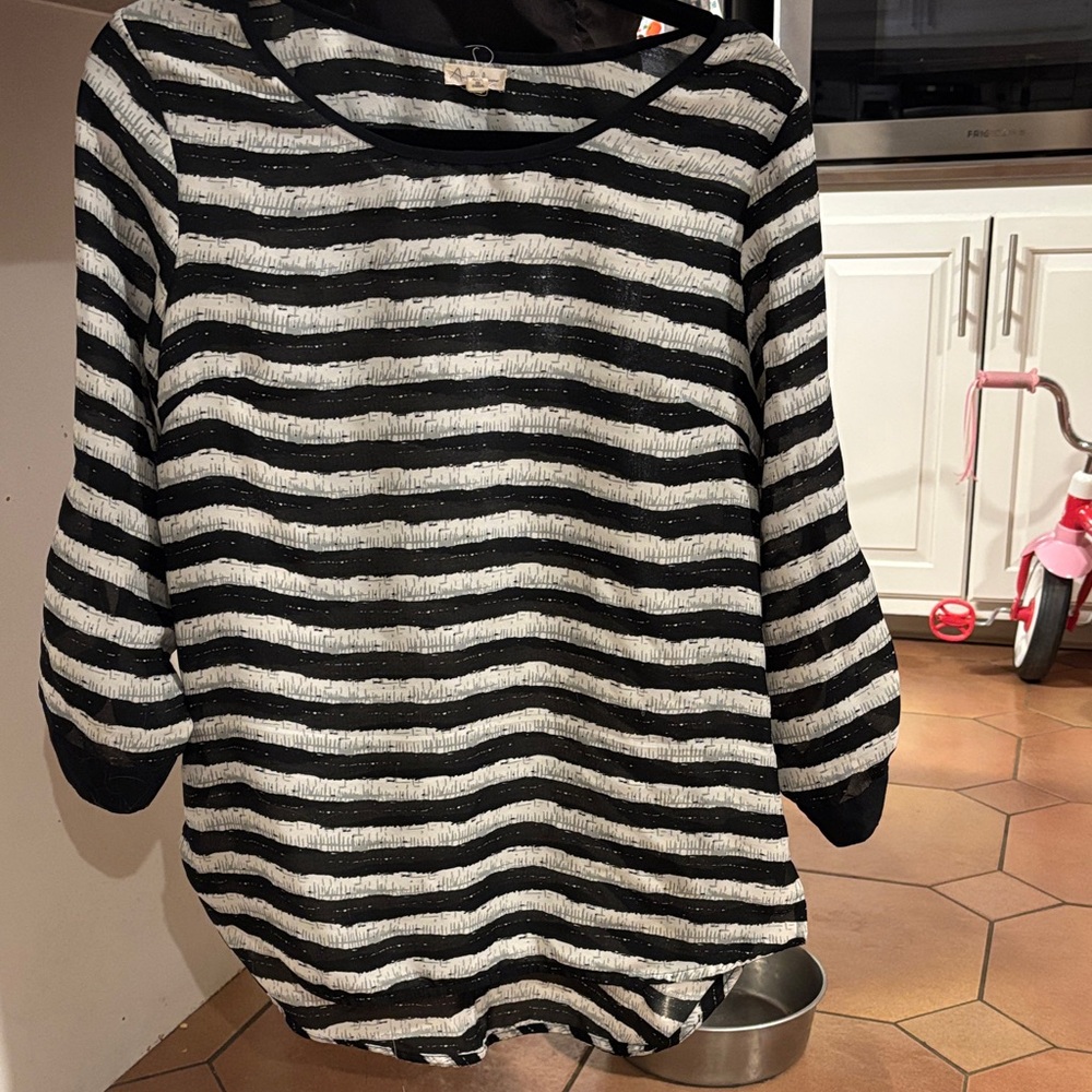 Anthropologie Black and White Striped Blouse